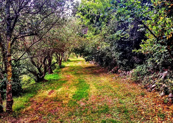 La Sempesserre 펜션 Saint-Maurin